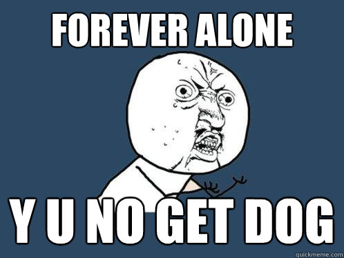 forever alone y u no get dog - forever alone y u no get dog  Y U No