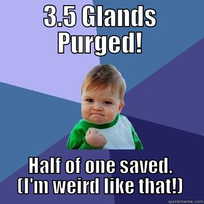 3.5 GLANDS PURGED! HALF OF ONE SAVED. (I'M WEIRD LIKE THAT!) Success Kid