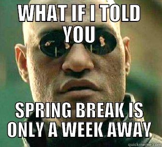 WHAT IF I TOLD YOU SPRING BREAK IS ONLY A WEEK AWAY Matrix Morpheus