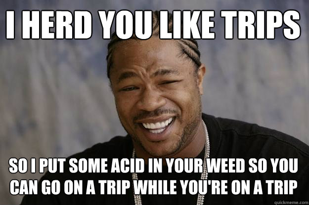 I herd you like trips so i put some acid in your weed so you can go on a trip while you're on a trip  Xzibit meme