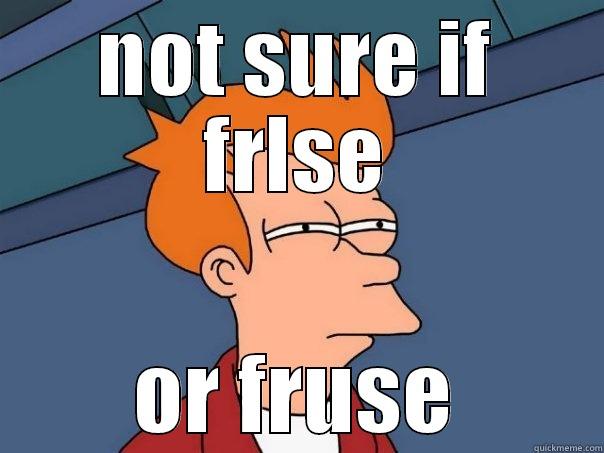 NOT SURE IF FRLSE OR FRUSE Futurama Fry