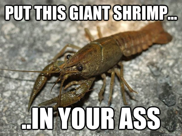 Put this giant shrimp... ..In your ass  that fish cray