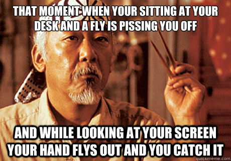 That moment when your sitting at your desk and a fly is pissing you off and while looking at your screen your hand flys out and you catch it  