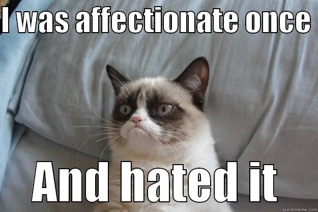 I WAS AFFECTIONATE ONCE  AND HATED IT Grumpy Cat