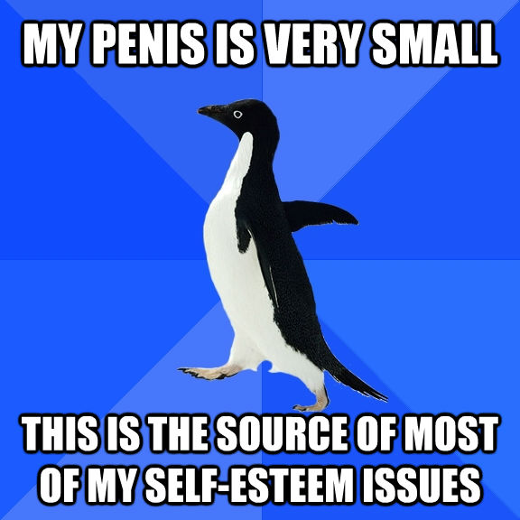 MY PENIS IS VERY SMALL THIS IS THE SOURCE OF MOST OF MY SELF-ESTEEM ISSUES - MY PENIS IS VERY SMALL THIS IS THE SOURCE OF MOST OF MY SELF-ESTEEM ISSUES  Socially Awkward Penguin