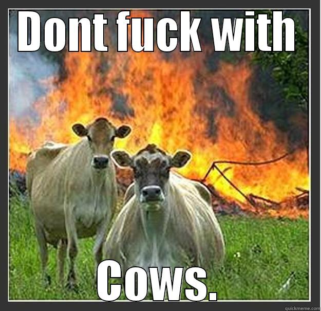 DONT FUCK WITH COWS. Evil cows