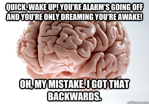 QUICK, WAKE UP! YOU'RE ALARM'S GOING OFF AND YOU'RE ONLY DREAMING YOU'RE AWAKE! OH, MY MISTAKE. I GOT THAT BACKWARDS.  Scumbag Brain