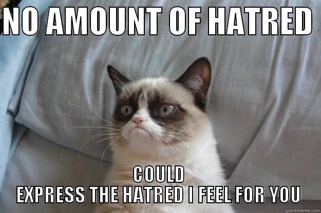 NO AMOUNT OF HATRED  COULD EXPRESS THE HATRED I FEEL FOR YOU Grumpy Cat