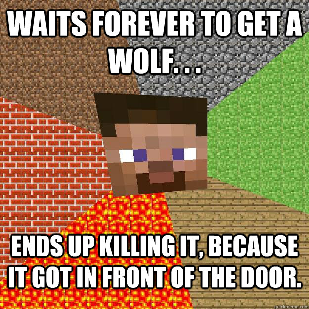 Waits forever to get a wolf. . . ends up killing it, because it got in front of the door.  Minecraft