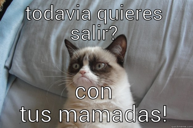 TODAVIA QUIERES SALIR? CON TUS MAMADAS! Grumpy Cat