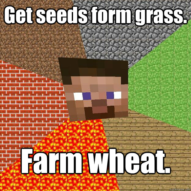 Get seeds form grass. Farm wheat.  Minecraft