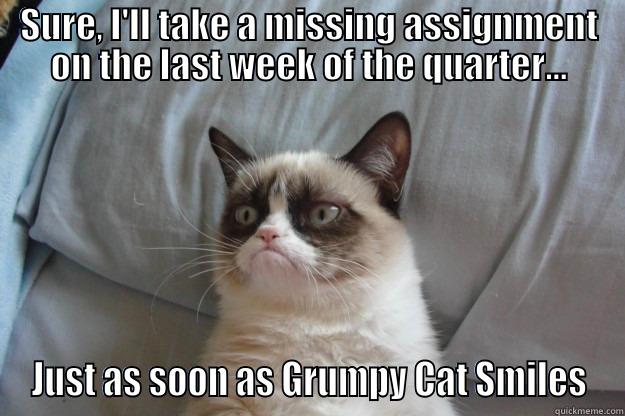 SURE, I'LL TAKE A MISSING ASSIGNMENT ON THE LAST WEEK OF THE QUARTER... JUST AS SOON AS GRUMPY CAT SMILES Grumpy Cat