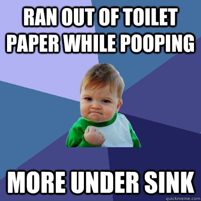 Ran out of toilet paper while pooping More under sink  Success Kid