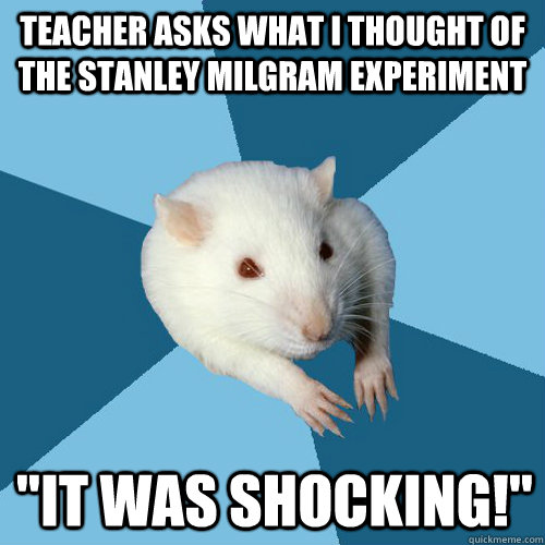 Teacher asks what i thought of the Stanley Milgram experiment 