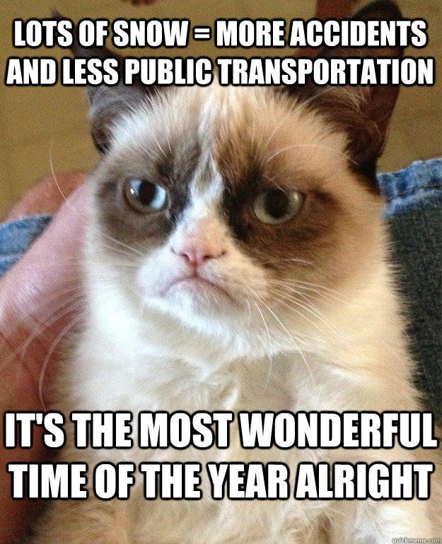 Lots of snow = more accidents and less public transportation It's the most wonderful time of the year alright  Grumpy Cat