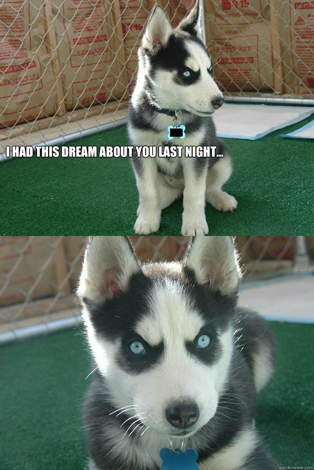 I had this dream about you last night...  - I had this dream about you last night...   Insanity puppy