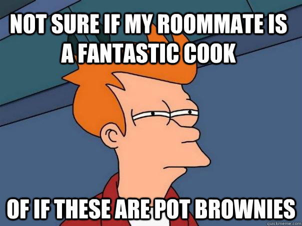 not sure if my roommate is a fantastic cook of if these are pot brownies - not sure if my roommate is a fantastic cook of if these are pot brownies  Futurama Fry