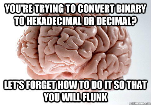 You're trying to convert binary to hexadecimal or decimal? Let's forget how to do it so that you will flunk - You're trying to convert binary to hexadecimal or decimal? Let's forget how to do it so that you will flunk  Scumbag Brain