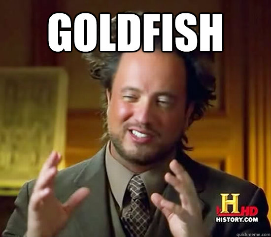 Goldfish   Ancient Aliens