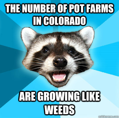 the number of Pot Farms in colorado are growing like weeds  Lame Pun Coon