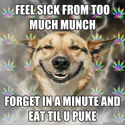 feel sick from too much munch forget in a minute and eat til u puke  Stoner Dog