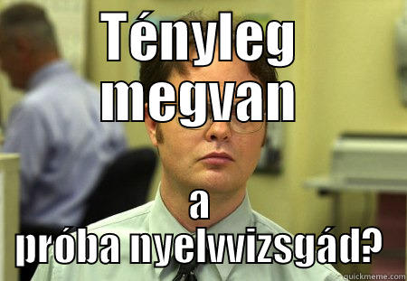 Tényleg megvan - TÉNYLEG MEGVAN A PRÓBA NYELVVIZSGÁD? Schrute