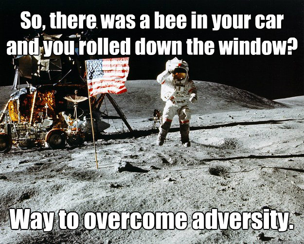 So, there was a bee in your car and you rolled down the window? Way to overcome adversity.  Unimpressed Astronaut