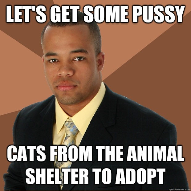 Let's get some pussy Cats from the animal shelter to adopt  Successful Black Man