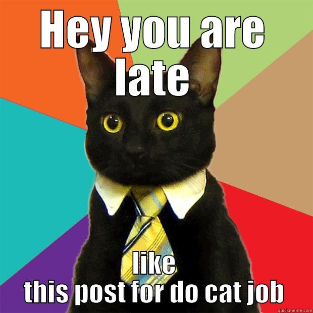 HEY YOU ARE LATE LIKE THIS POST FOR DO CAT JOB Business Cat