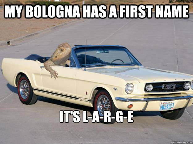 My bologna has a first name It's L-A-R-G-E

 - My bologna has a first name It's L-A-R-G-E

  Pickup Dragon