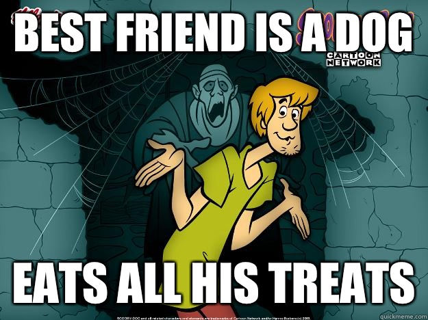 Best friend is a dog Eats all his treats  Irrational Shaggy