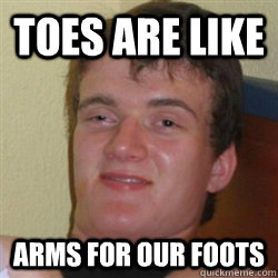 toes are like arms for our foots  