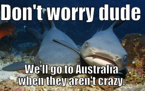 DON'T WORRY DUDE  WE'LL GO TO AUSTRALIA WHEN THEY AREN'T CRAZY. Compassionate Shark Friend