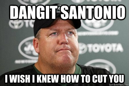 dangit santonio I wish I knew how to cut you  Rex Ryan Priorities