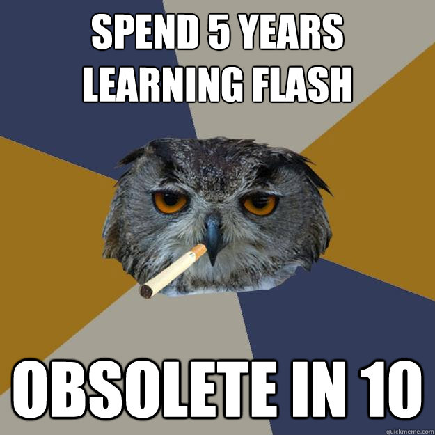 Spend 5 years learning flash Obsolete in 10  Art Student Owl