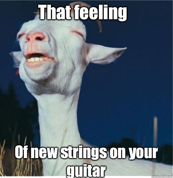 That feeling Of new strings on your guitar  