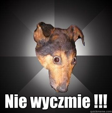  Nie wyczmie !!!  Depression Dog