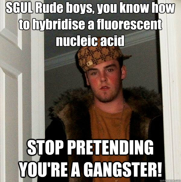 SGUL Rude boys, you know how to hybridise a fluorescent nucleic acid
 STOP PRETENDING YOU'RE A GANGSTER! - SGUL Rude boys, you know how to hybridise a fluorescent nucleic acid
 STOP PRETENDING YOU'RE A GANGSTER!  Scumbag Steve