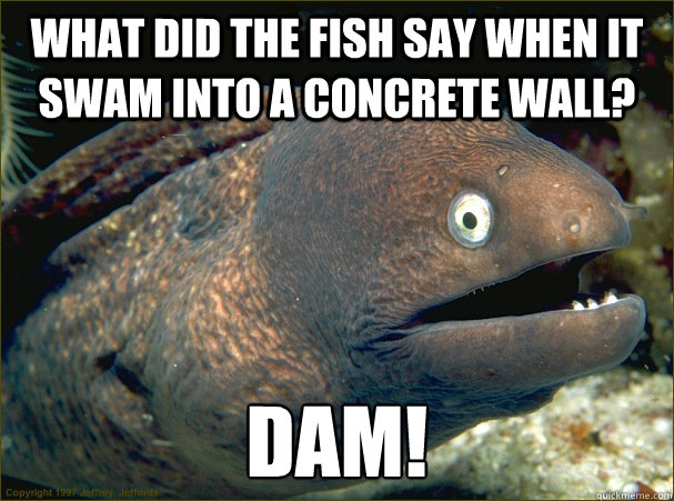 What did the fish say when it swam into a concrete wall?  Dam!  Bad Joke Eel