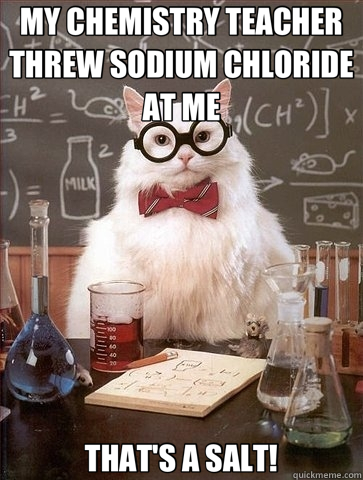 MY CHEMISTRY TEACHER THREW SODIUM CHLORIDE AT ME THAT'S A SALT! - MY CHEMISTRY TEACHER THREW SODIUM CHLORIDE AT ME THAT'S A SALT!  Chemistry Cat