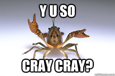 Y U SO CRAY CRAY?  That shit crayfish