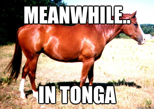 Meanwhile.. in tonga - Meanwhile.. in tonga  meanwhile in tonga