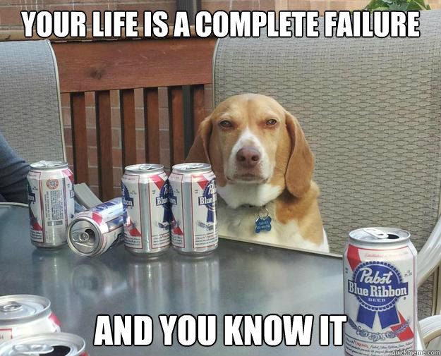 Your life is a complete failure  And you know it - Your life is a complete failure  And you know it  Drunk Judgemental Dog