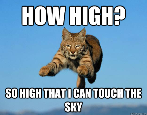 how high? so high that i can touch the sky  