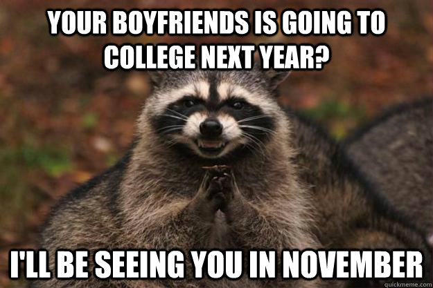 Your boyfriends is going to college next year? I'll be seeing you in November   Evil Plotting Raccoon