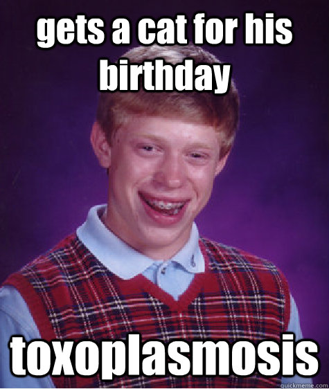 gets a cat for his birthday toxoplasmosis - gets a cat for his birthday toxoplasmosis  Bad Luck Brian