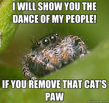 I WILL SHOW YOU THE DANCE OF MY PEOPLE! IF YOU REMOVE THAT CAT'S PAW  Misunderstood Spider