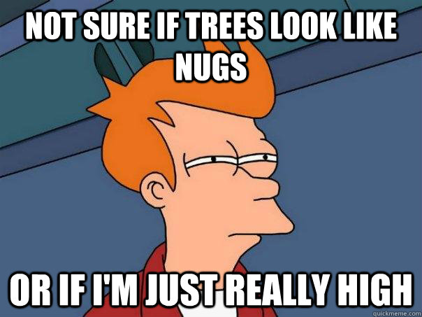 Not sure if trees look like nugs Or if I'm just really high  Futurama Fry