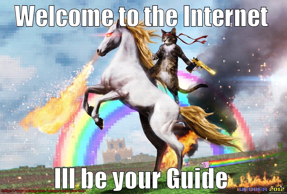 The Guide - WELCOME TO THE INTERNET ILL BE YOUR GUIDE Misc