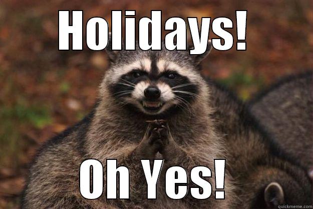 HOLIDAYS! OH YES! Evil Plotting Raccoon